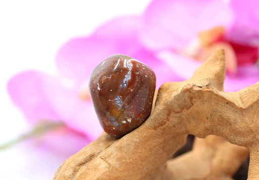 Agate indienne roulée