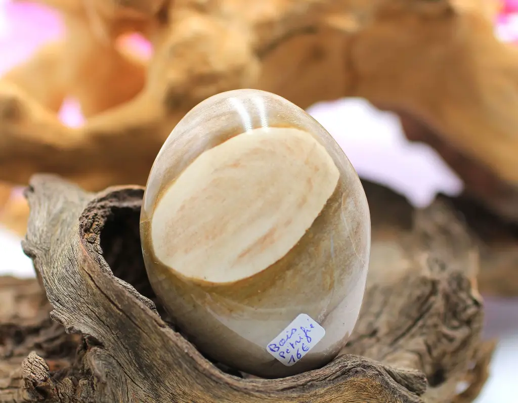 Bois pétrifié 11bis.webp