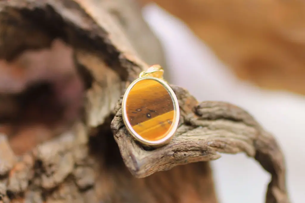 Œil de tigre 46bis.webp