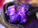 Yooperlite 17bis.webp