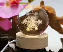 Verre 2bis.webp