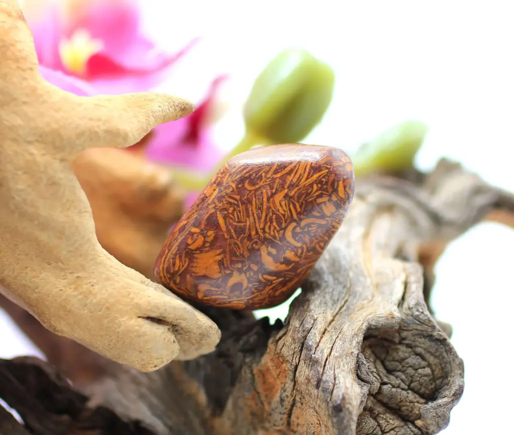 Jaspe peau de serpent roulé