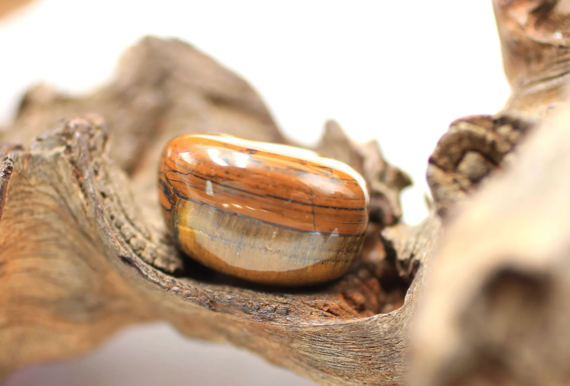 Œil de tigre roulé