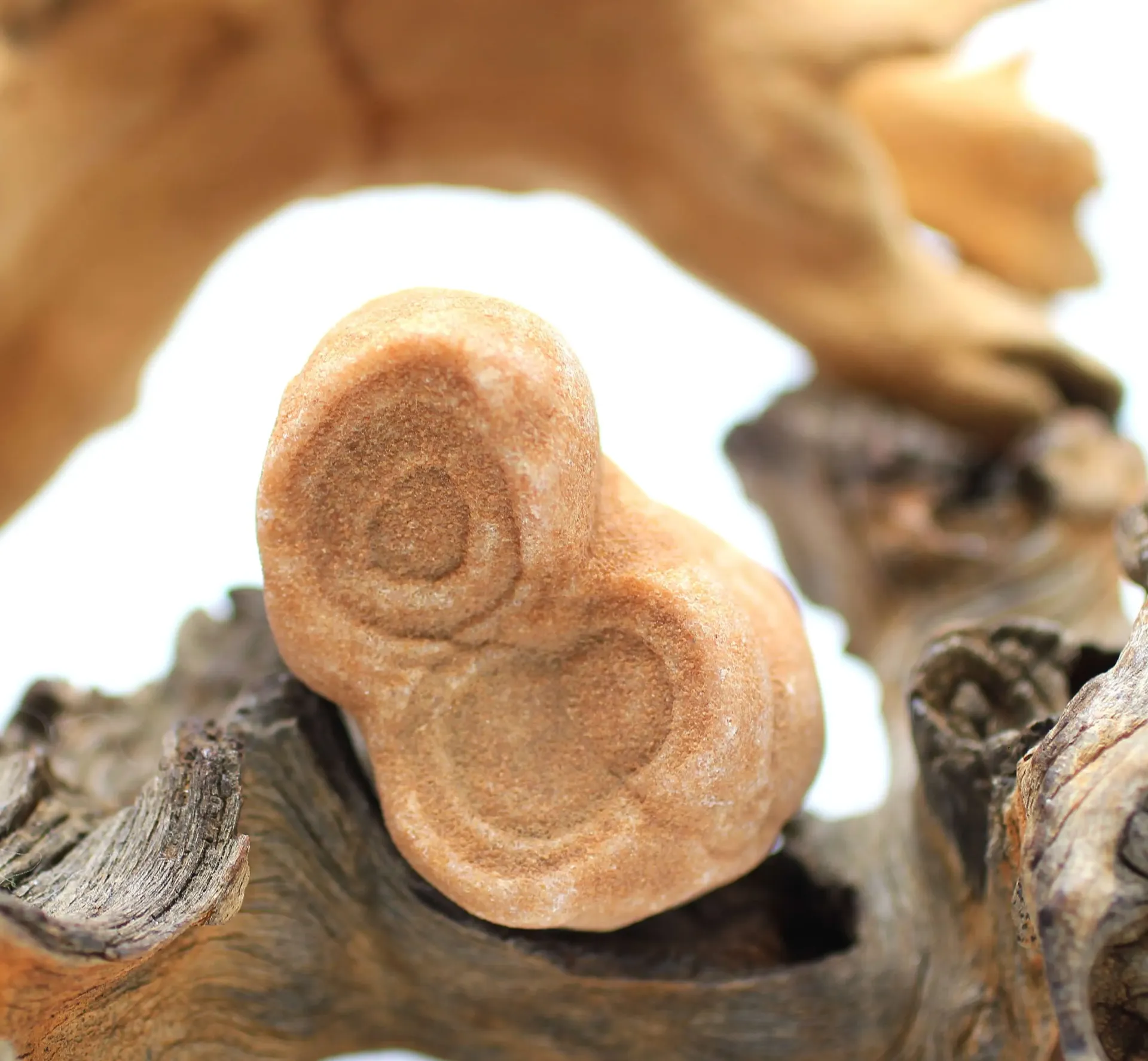 Stromatolite brute
