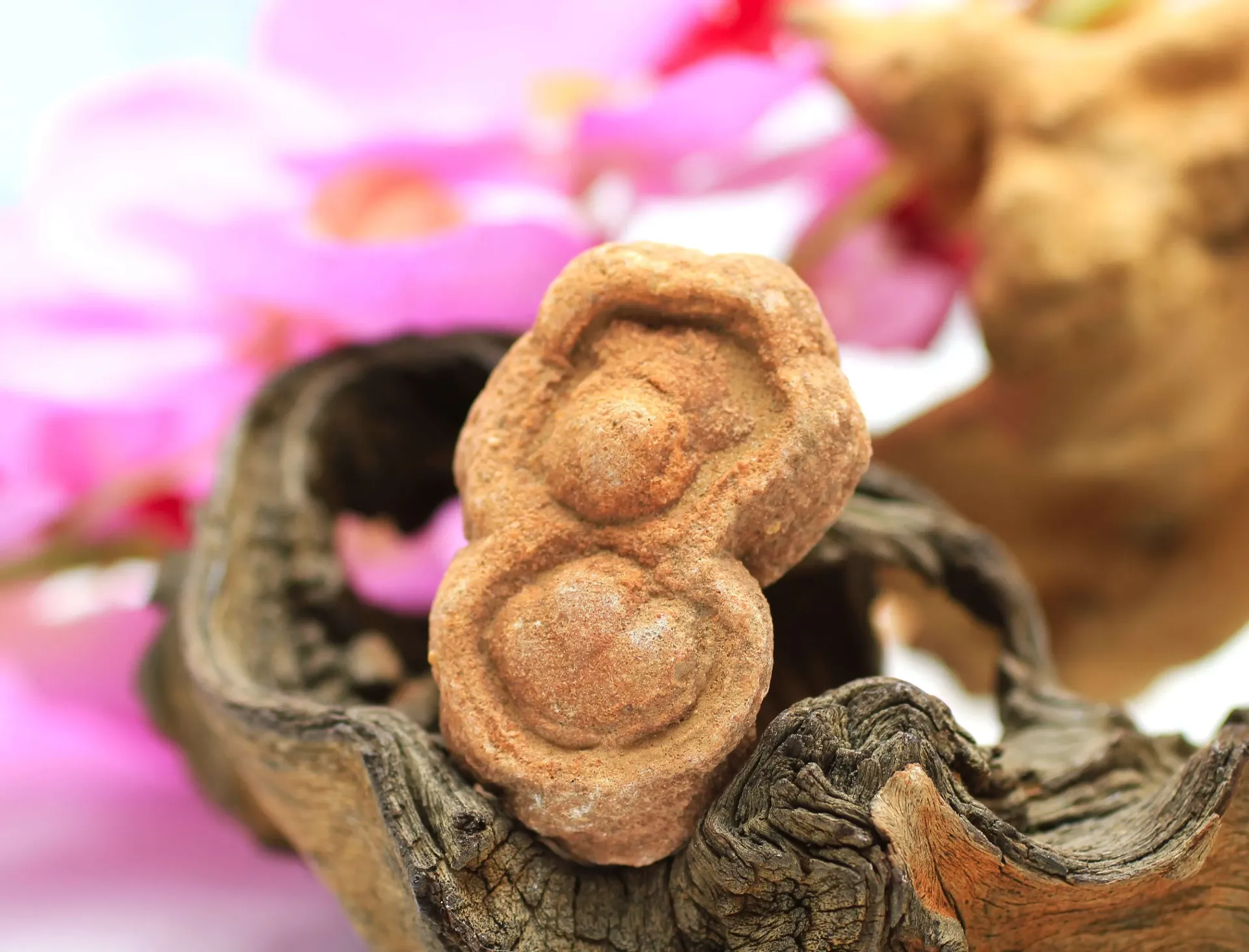 Stromatolite brute