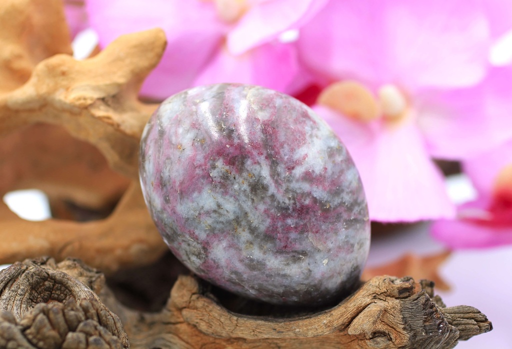 Pierre Tourmaline Rose Du Mozambique - 5.8mm X 3.6mm - 0.46 Carats - Naturelle - Pièce Unique