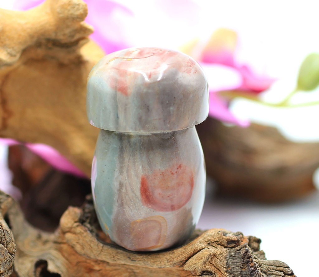 Champignon en Jaspe polychrome