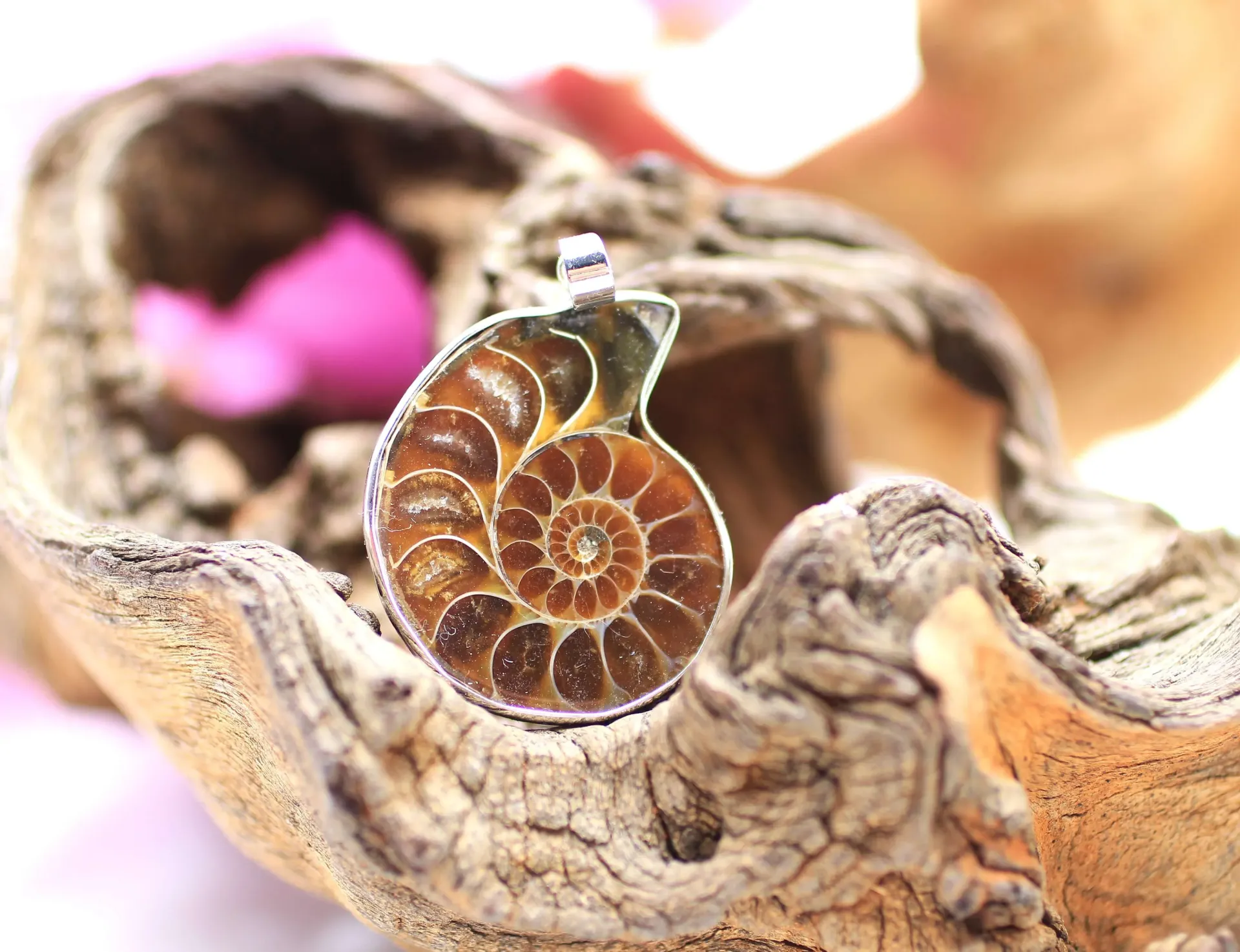Pendentif en Ammonite