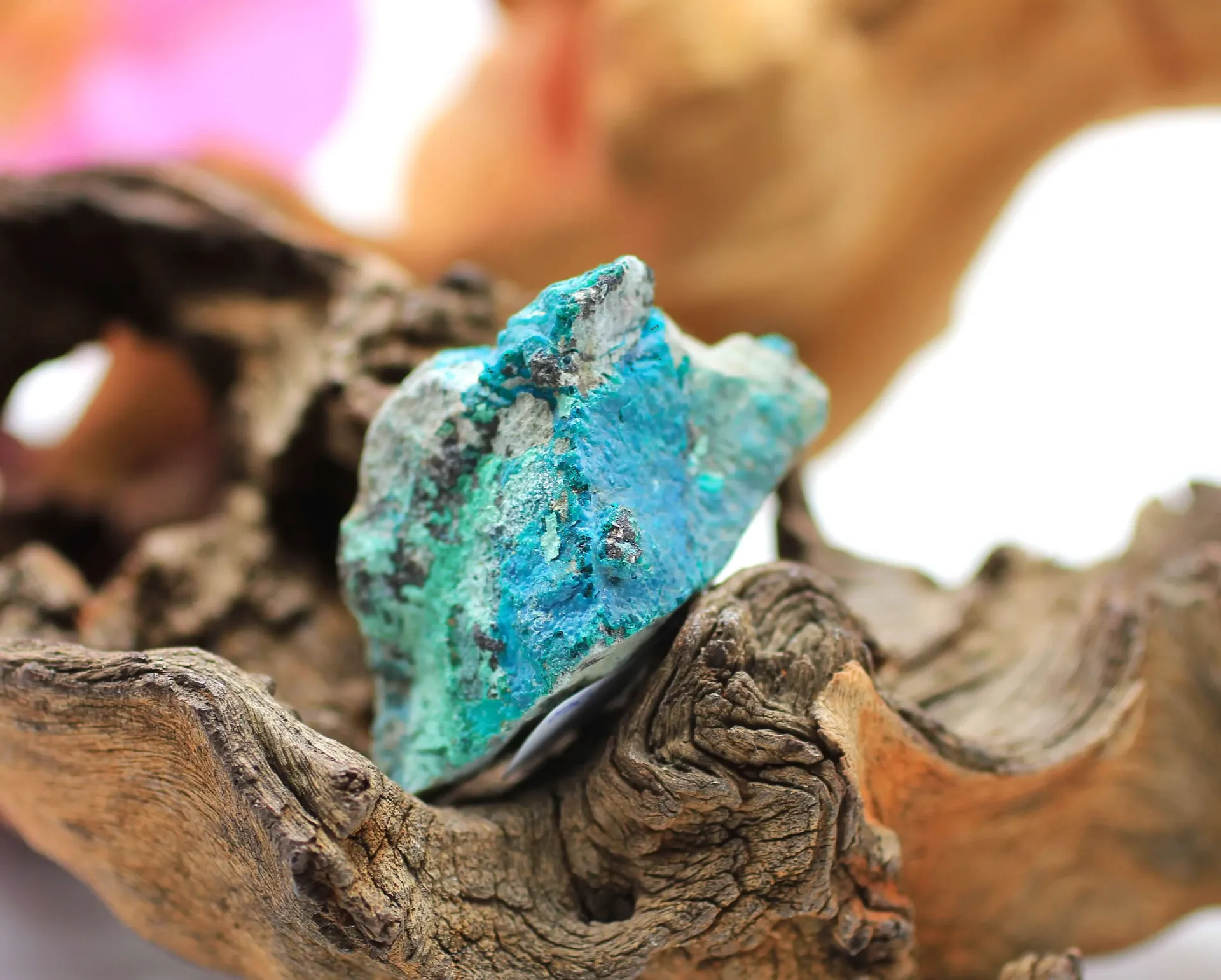 Chrysocolle-Malachite brute