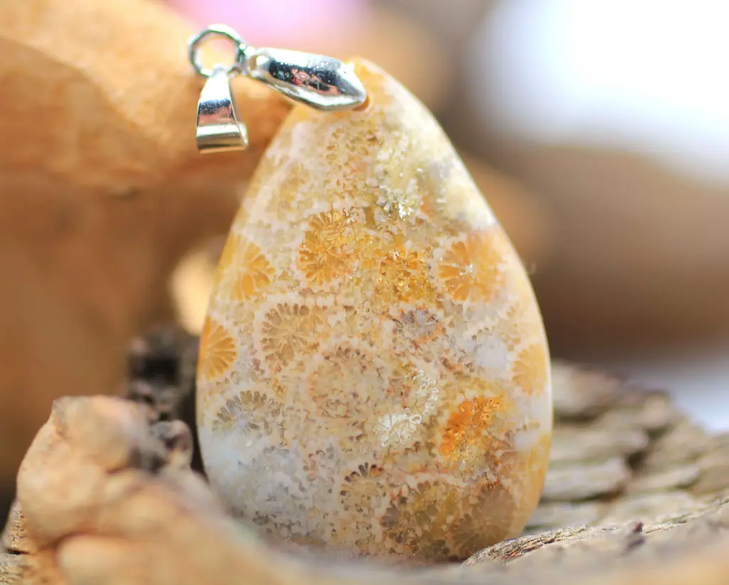 Pendentif goutte en Corail fossile