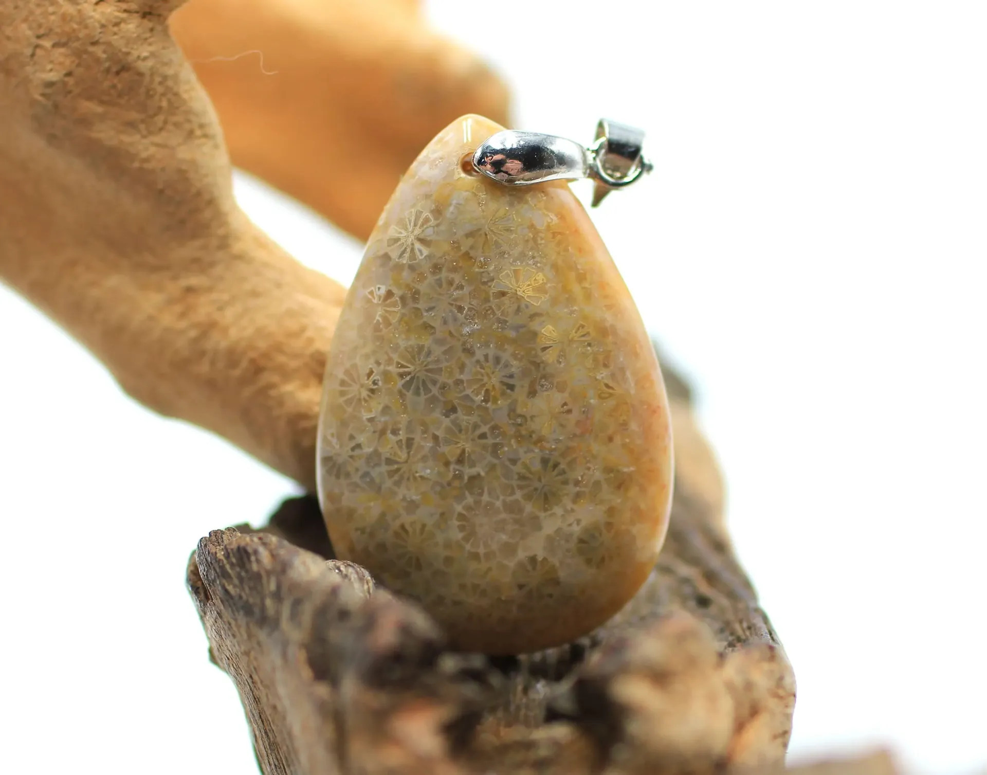 Pendentif goutte en Corail fossile