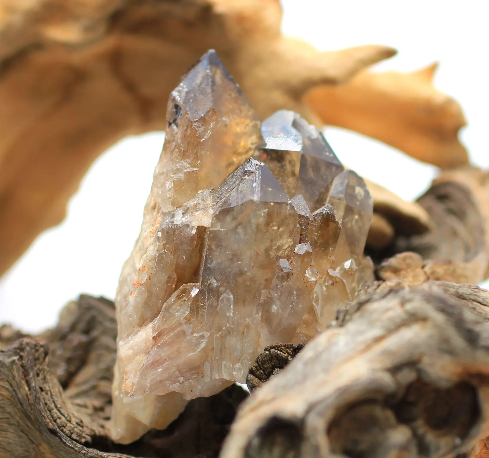 Druse en Citrine naturelle fumée