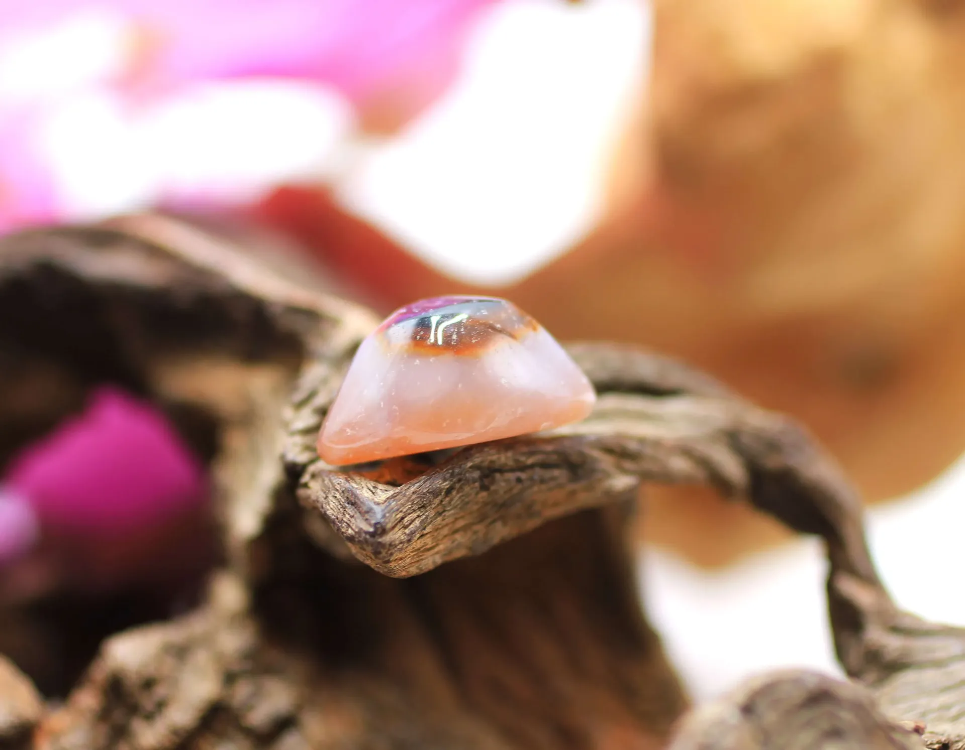 Œil de Shiva en Sardonyx