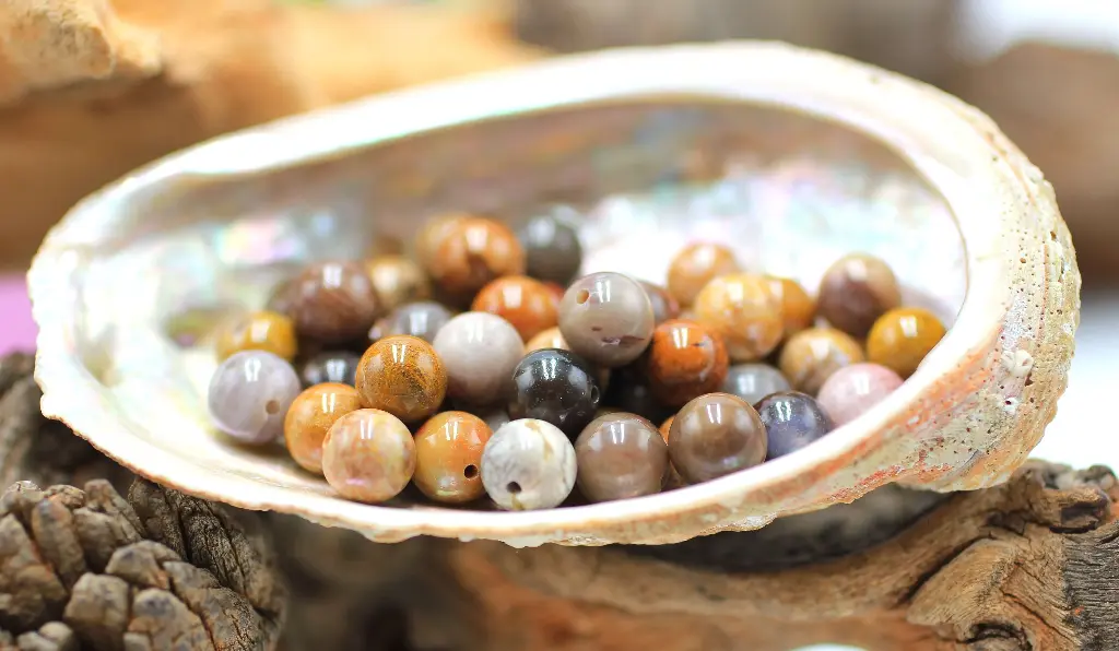 Perle 8mm en Bois pétrifié