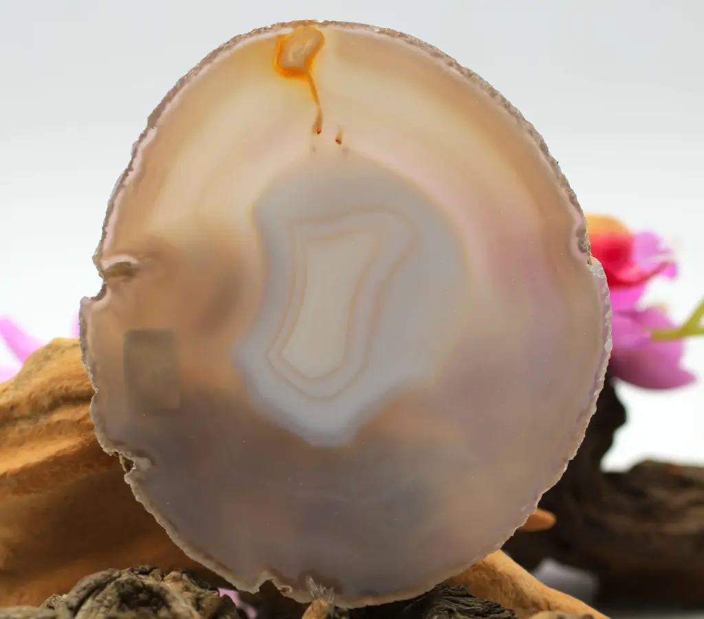 Tranche en Agate du Botswana
