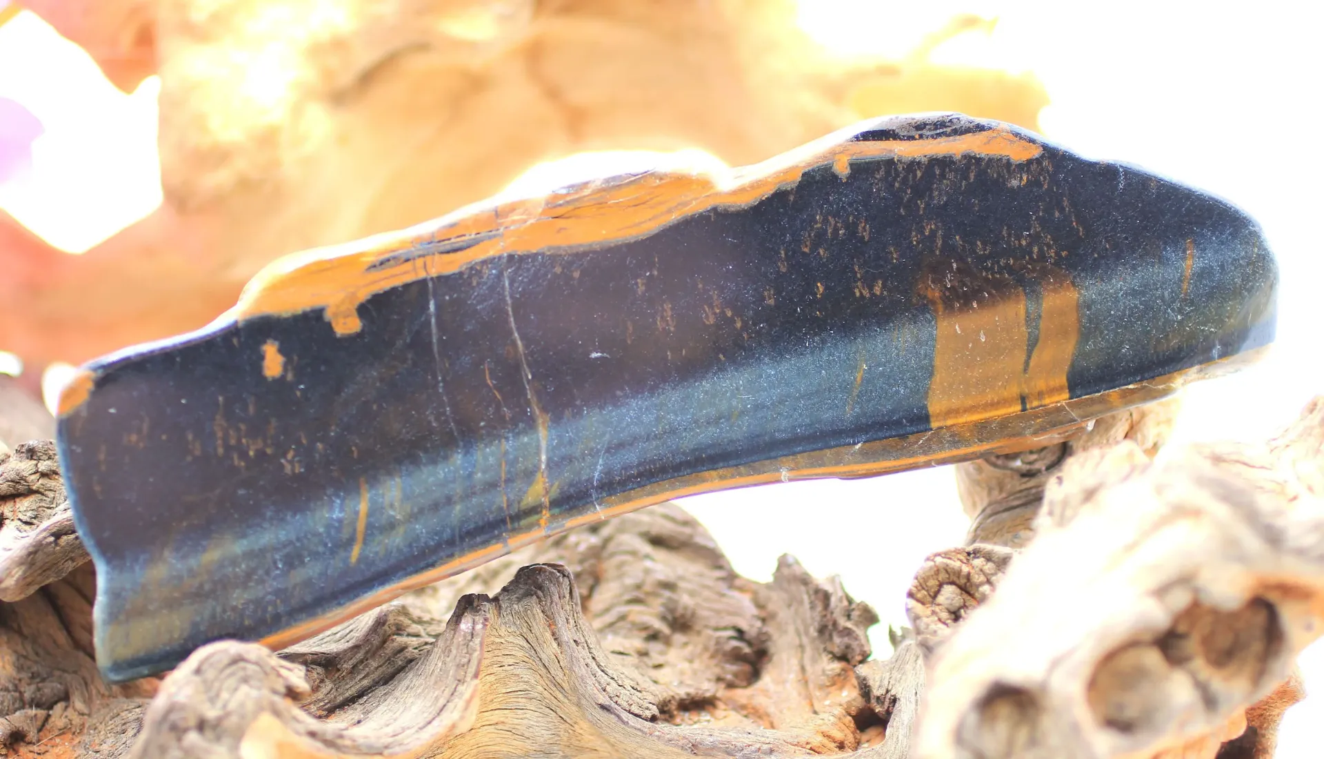 Tranche en Œil de Faucon