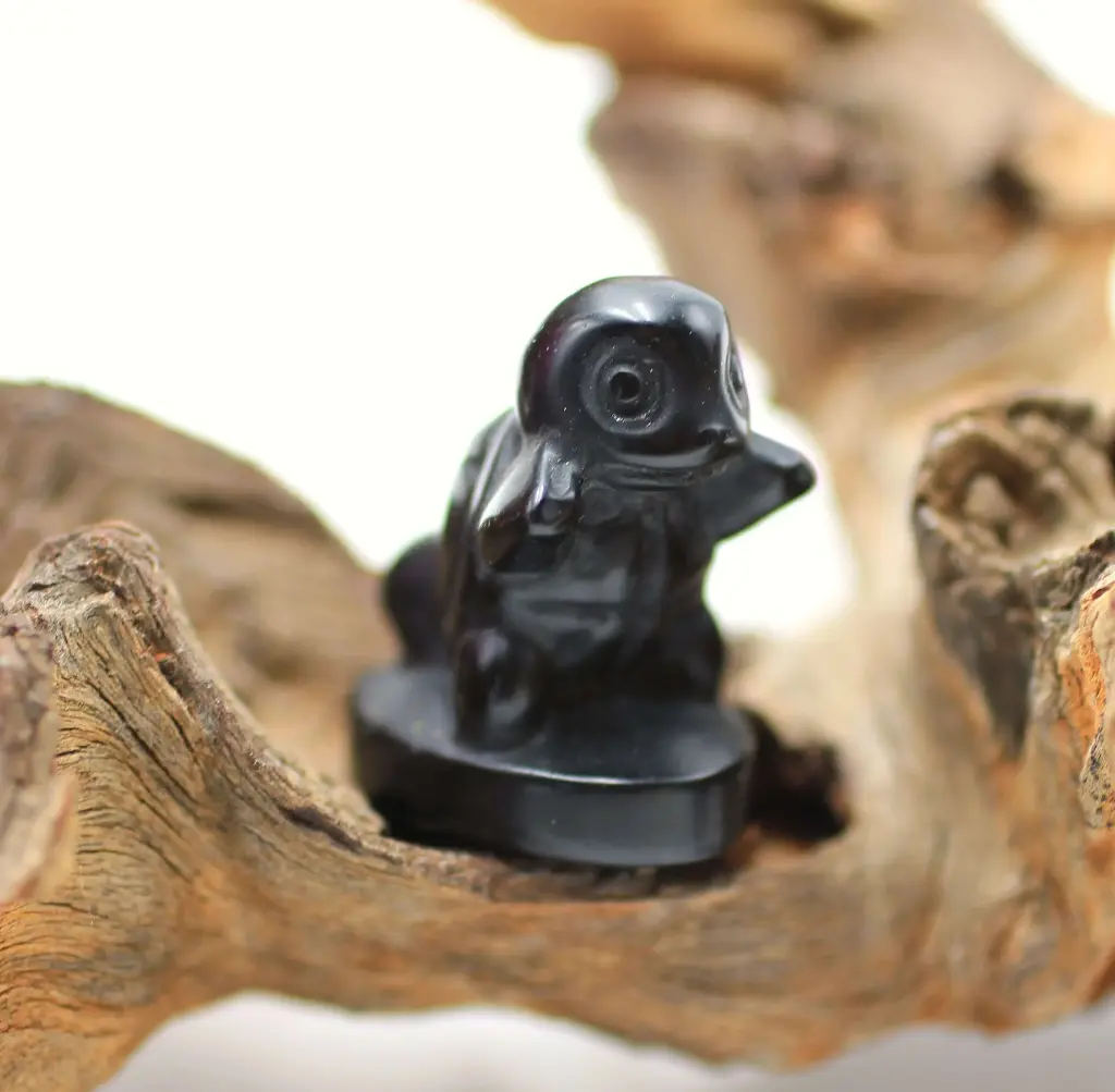 Carapuce en Obsidienne noire