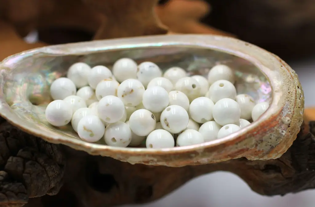 Perle 8mm en Magnésite