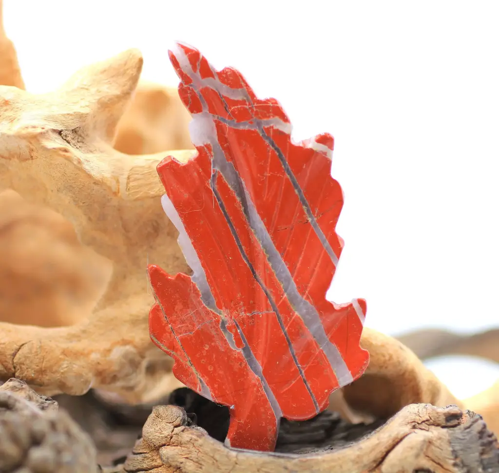 Feuille en Jaspe rouge