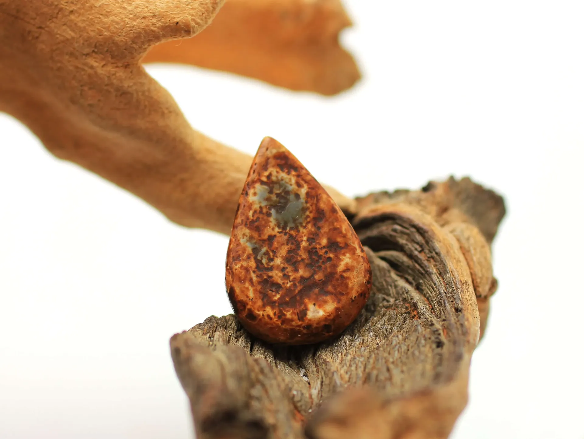 Pendentif goutte foré en Bois pétrifié écorce