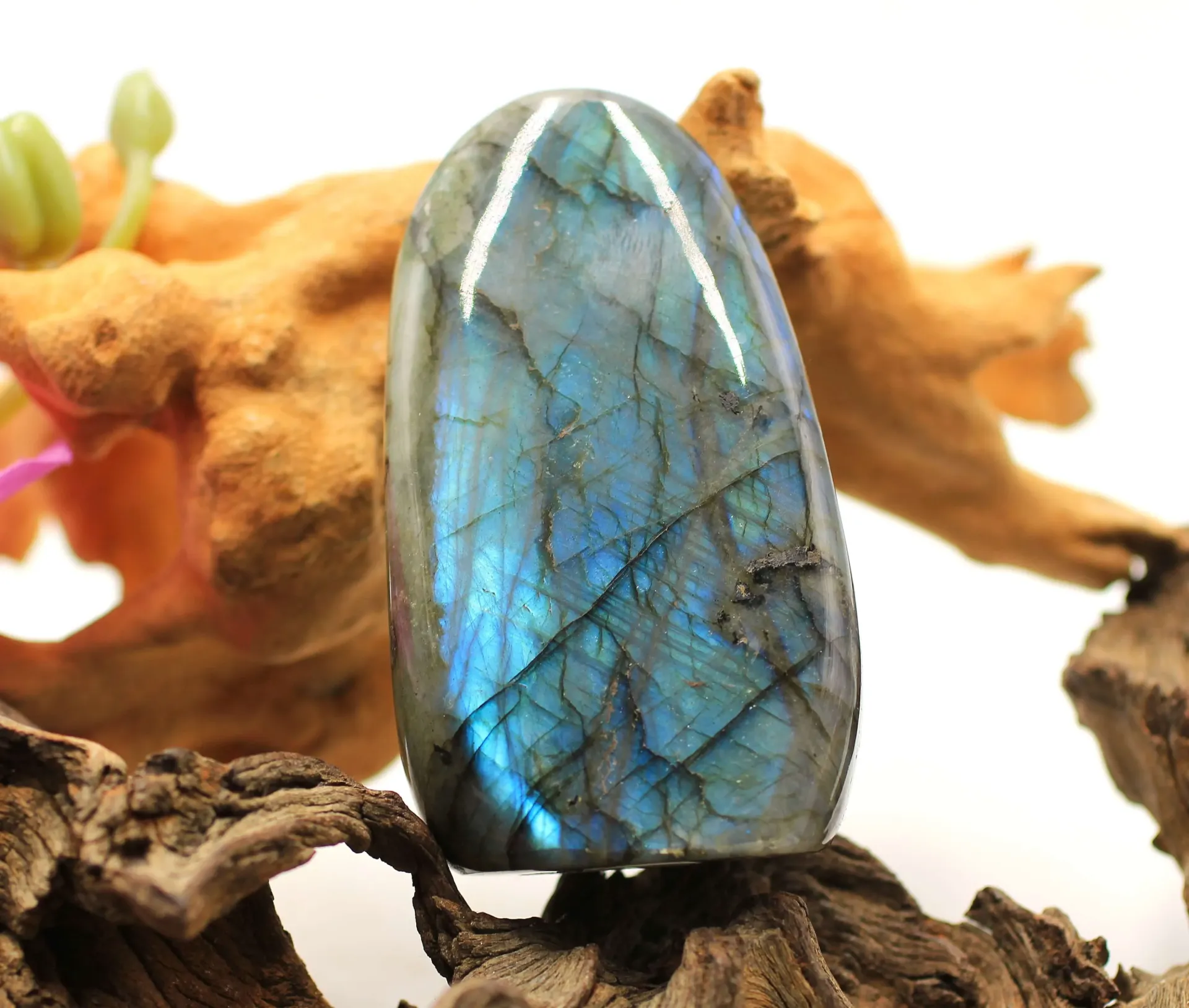 Rocher en Labradorite