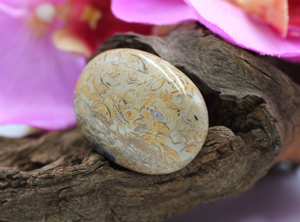 Galet en Jaspe peau de serpent