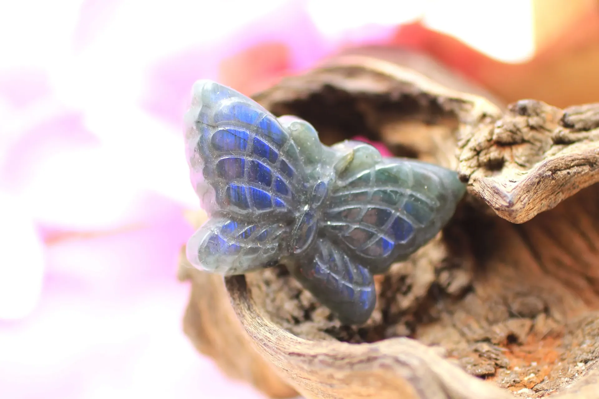 Papillon en Labradorite