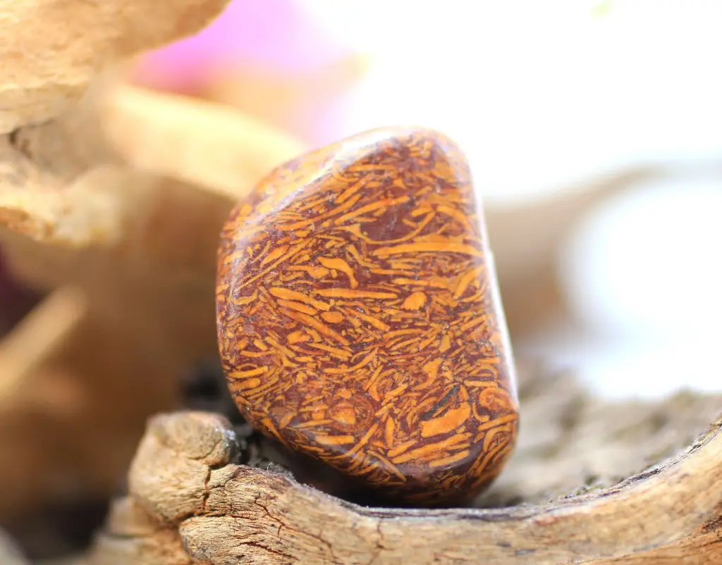 Jaspe peau de serpent roulé