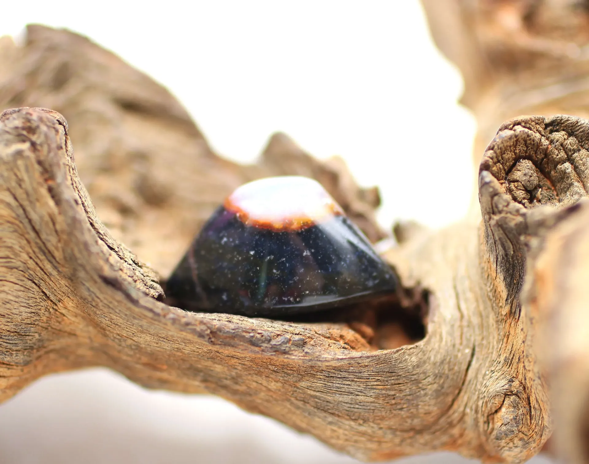 Œil de Shiva en Sardonyx