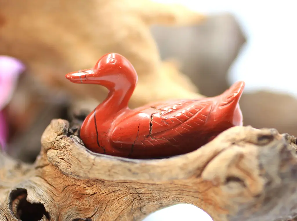 Canard en Jaspe rouge