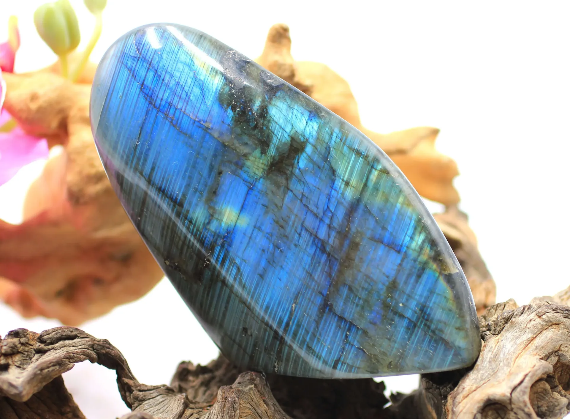 Rocher en Labradorite