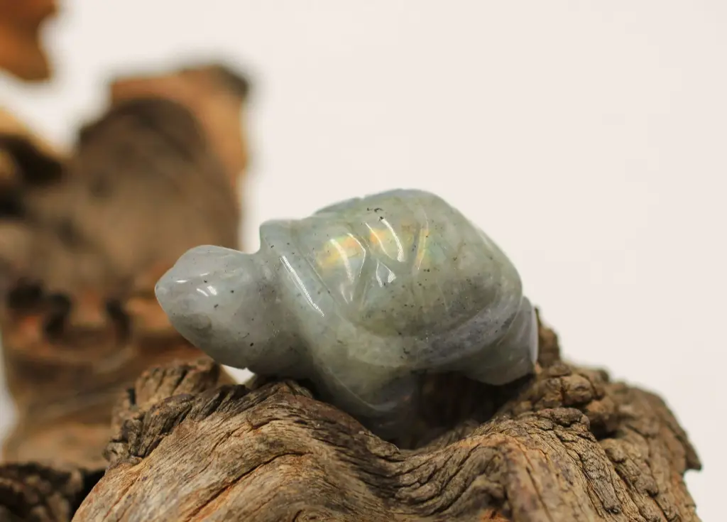 Tortue en Labradorite