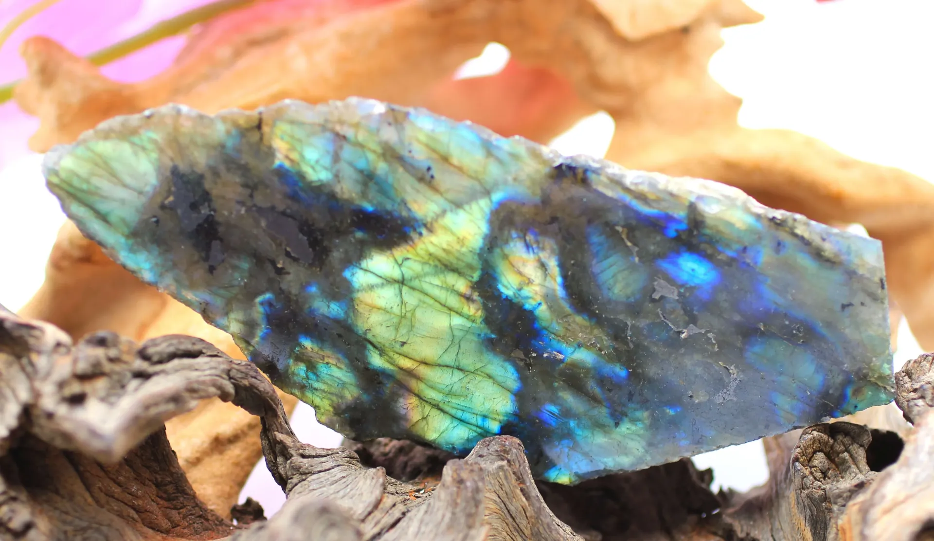 Tranche semi polie en Labradorite