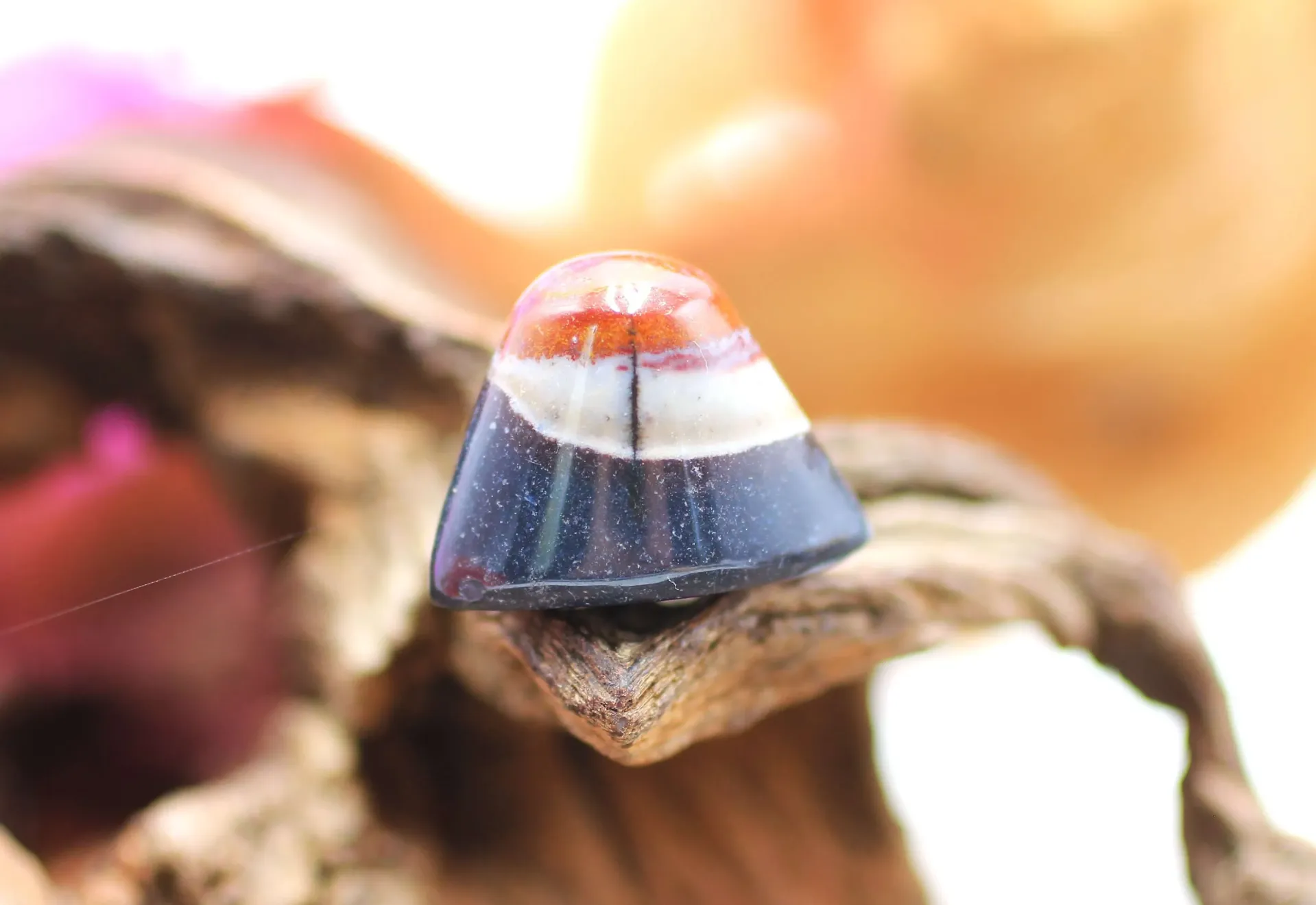 Œil de Shiva en Sardonyx