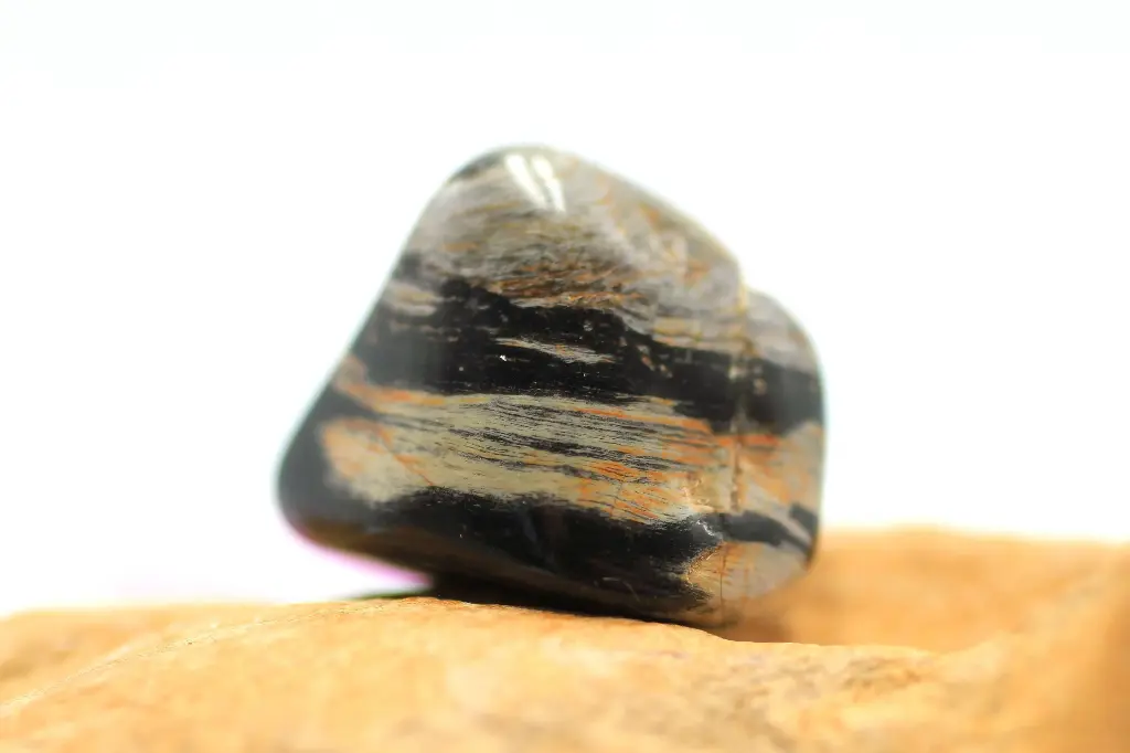 Jaspe feuille d'Argent roulé