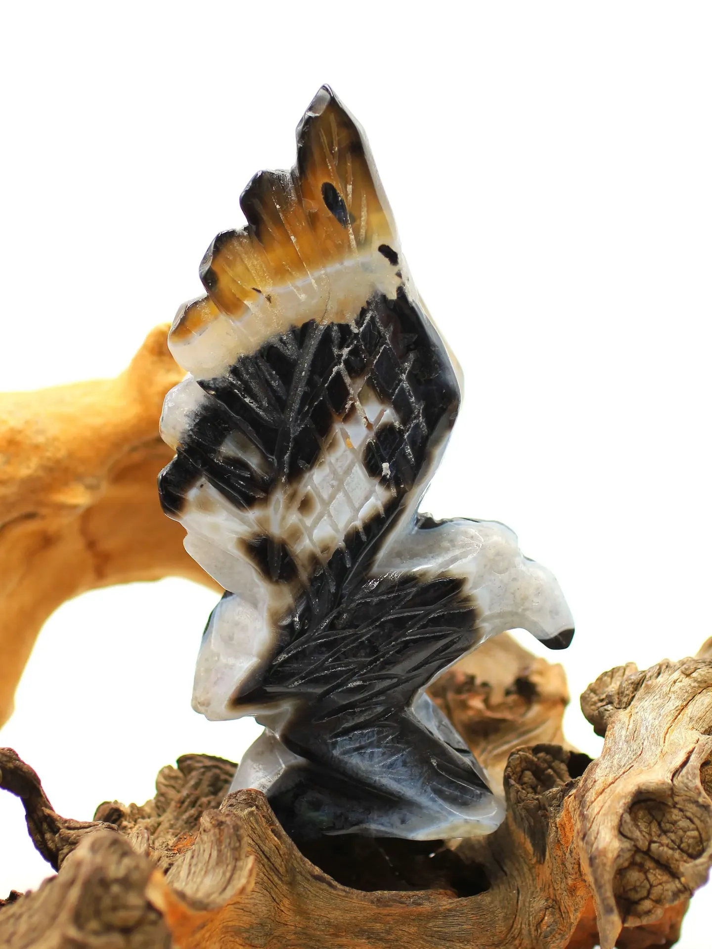 Aigle en Agate du Botswana