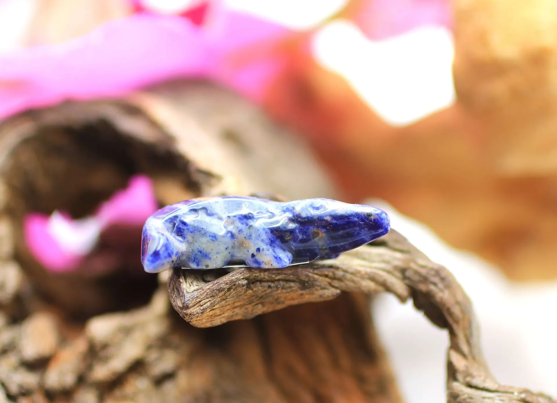 Crocodile en Sodalite