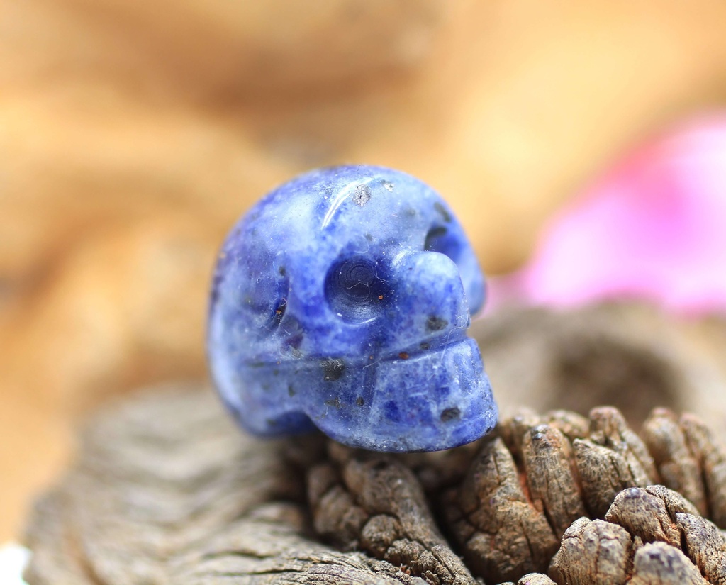 Tête de mort en Sodalite