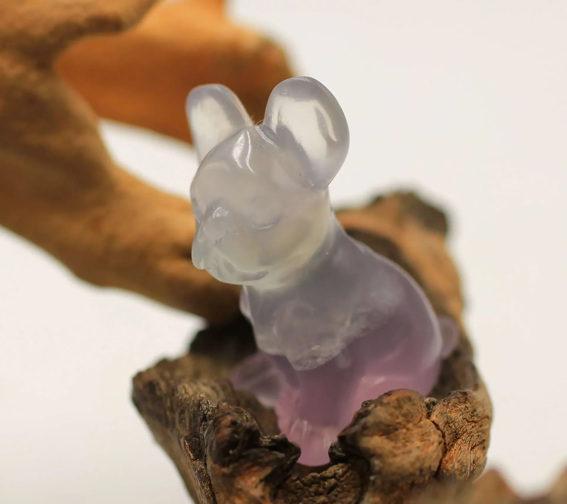 Bulldog en Fluorite arc-en-ciel