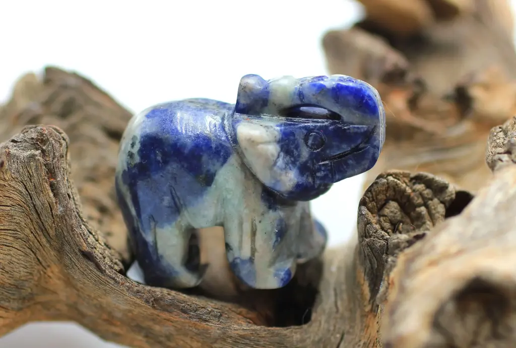 Eléphant en Sodalite