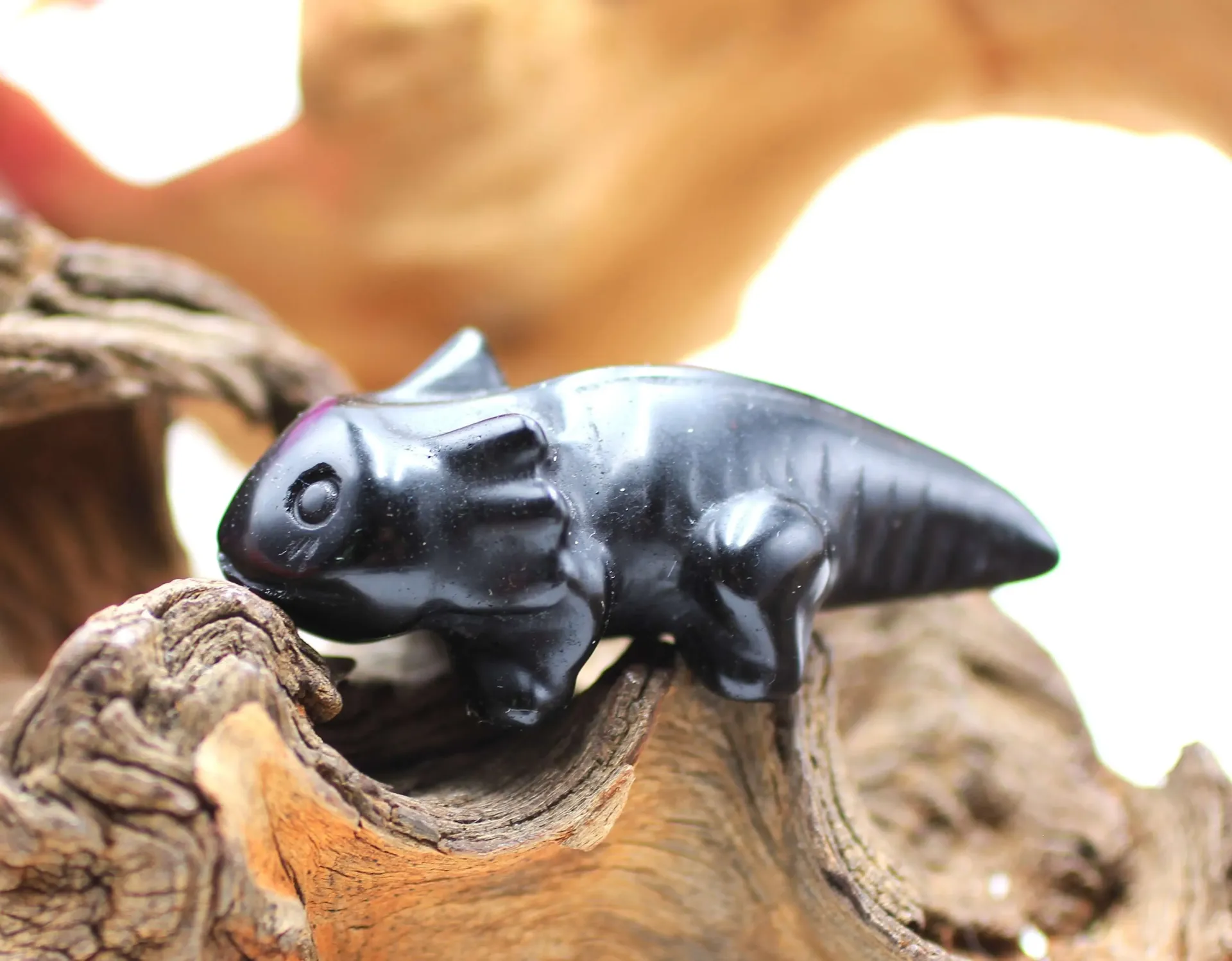 Axolotl en Obsidienne noire
