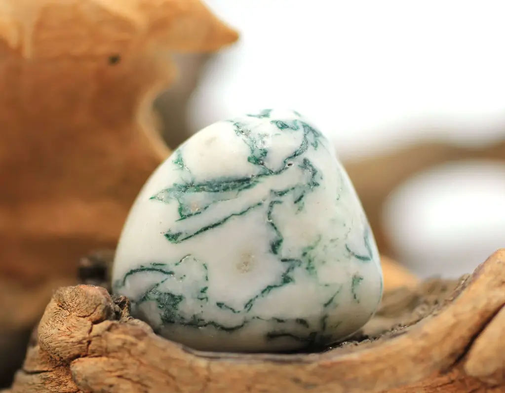 Agate arbre roulée