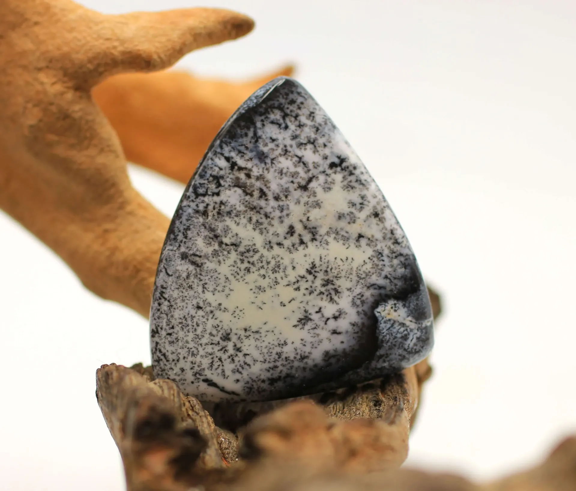 Cabochon en Opale dendritique