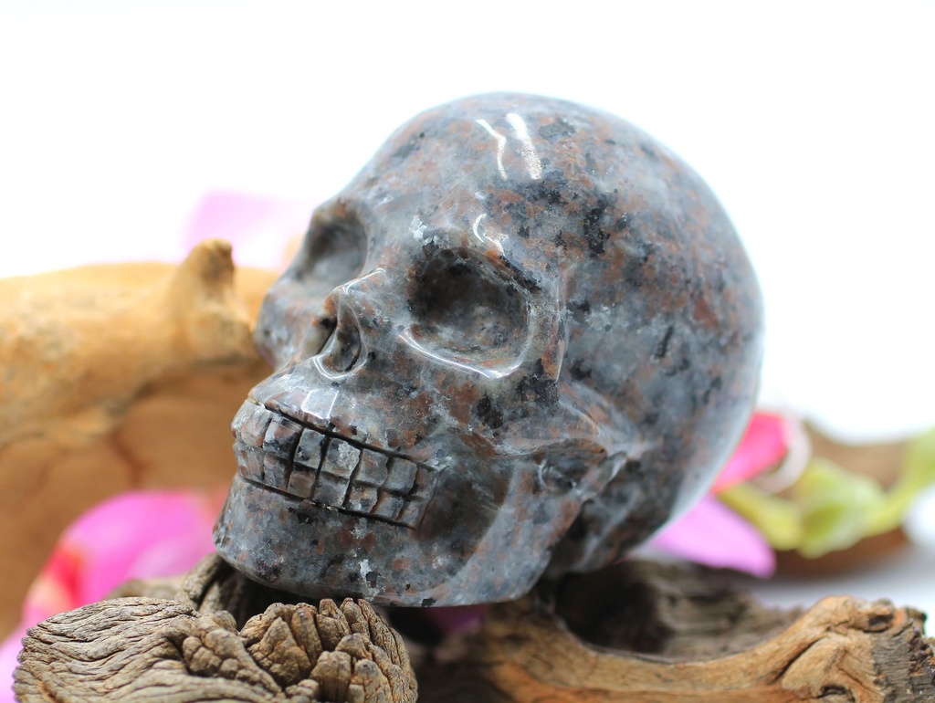 Crâne en Yooperlite