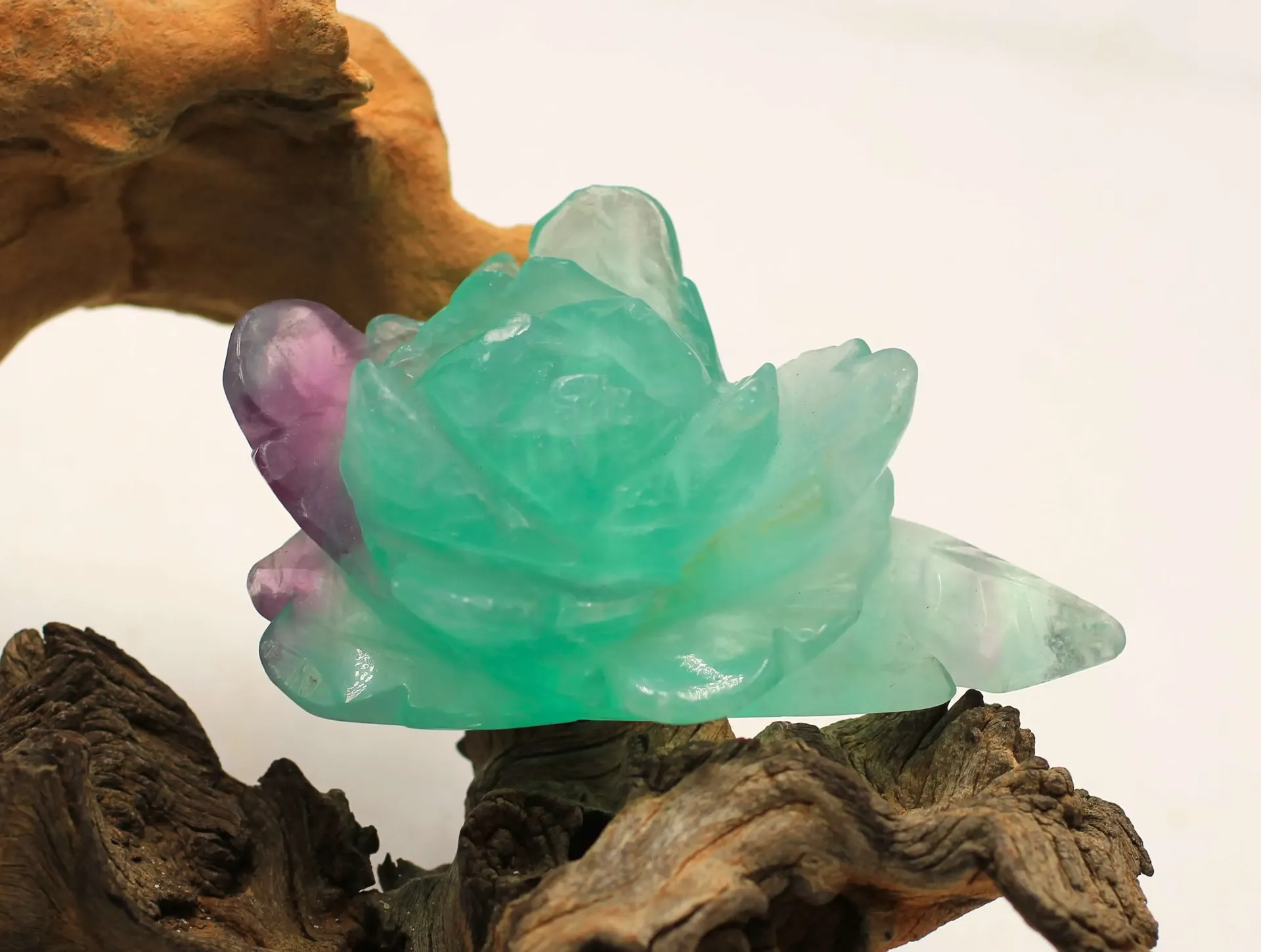 Pivoine en Fluorite multicolore
