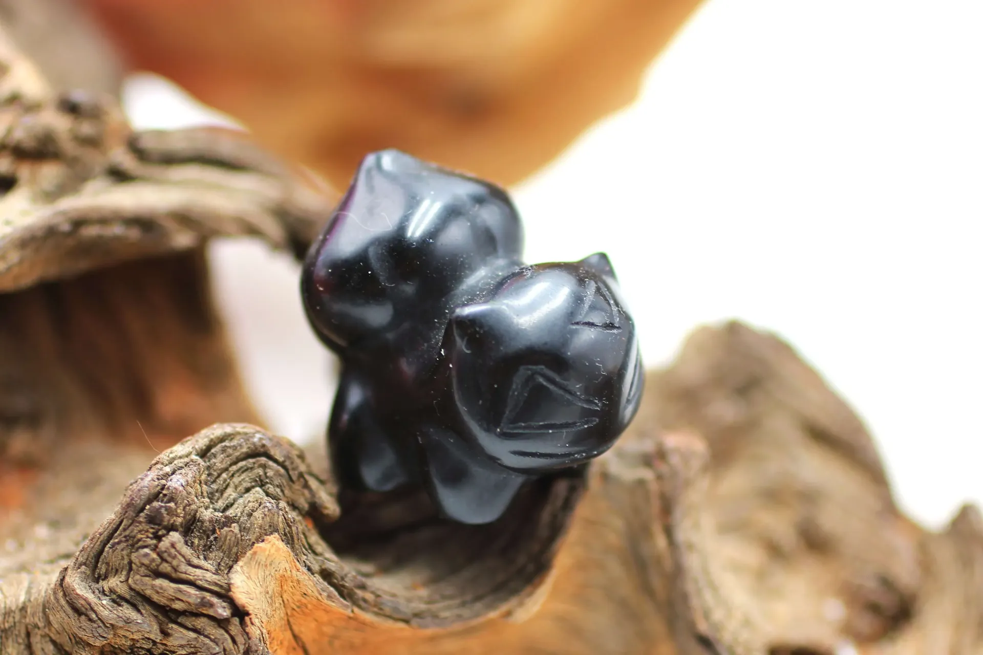 Bulbizarre en Obsidienne noire
