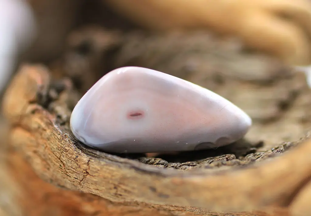 Agate rose du Botswana roulée