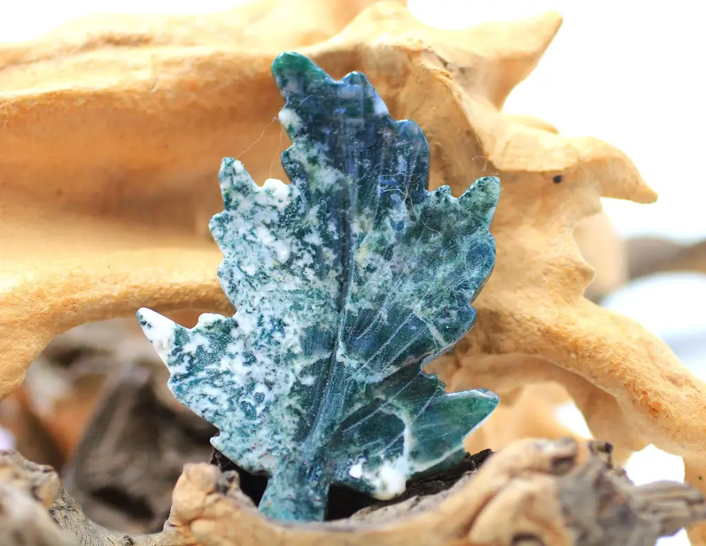 Feuille en Agate Arbre