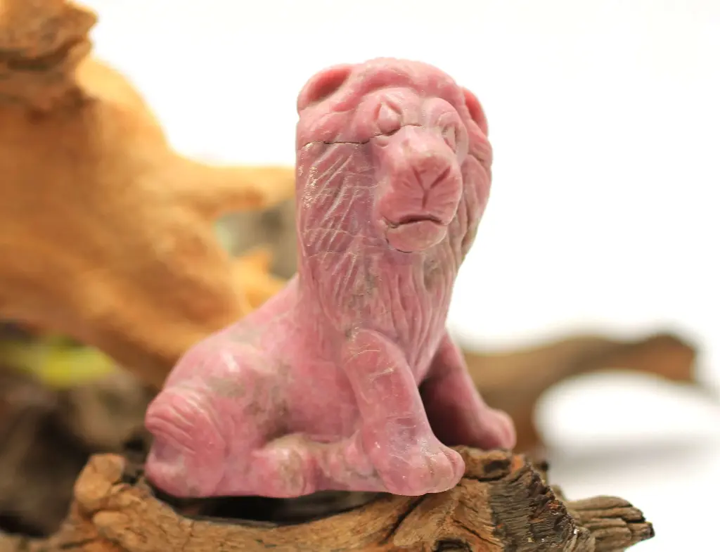 Lion en Rhodonite