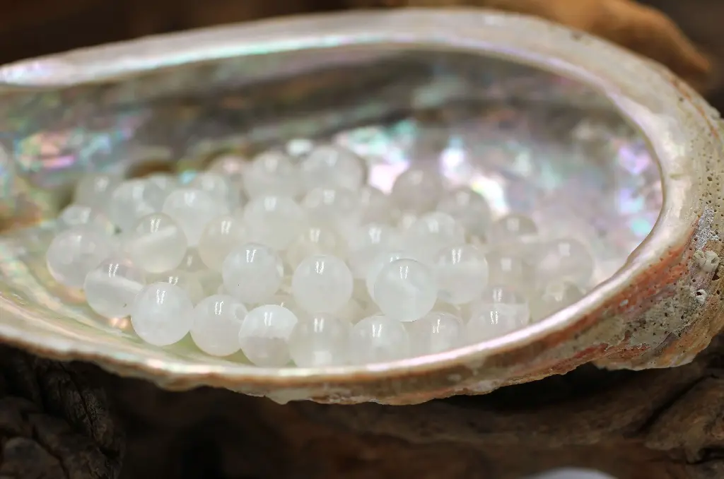 Perle 6mm en Calcite blanche